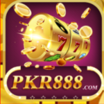 Pkr8888 Game